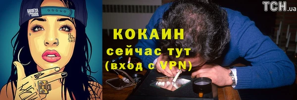 хмурый Верея
