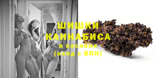 хмурый Верея