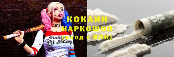 хмурый Верея