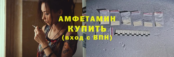 хмурый Верея