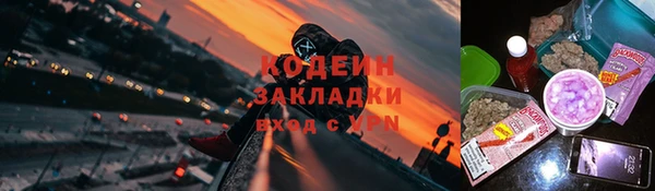 хмурый Верея