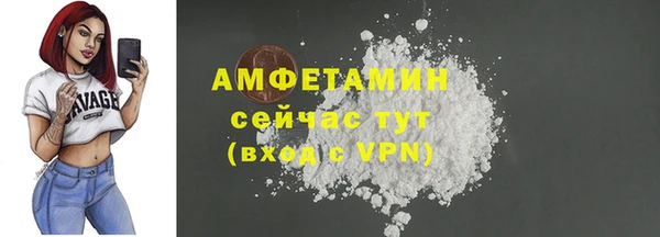 хмурый Верея