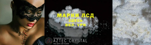 хмурый Верея
