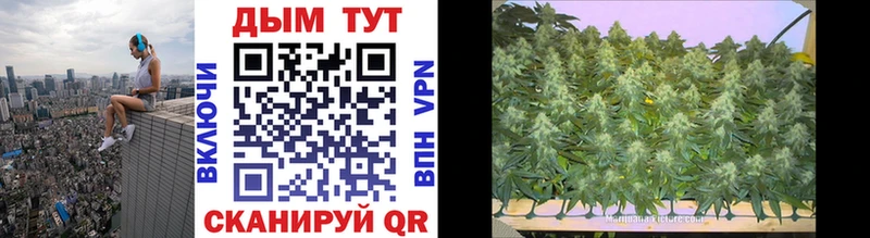 Бошки Шишки LSD WEED  гидра сайт  Невьянск 